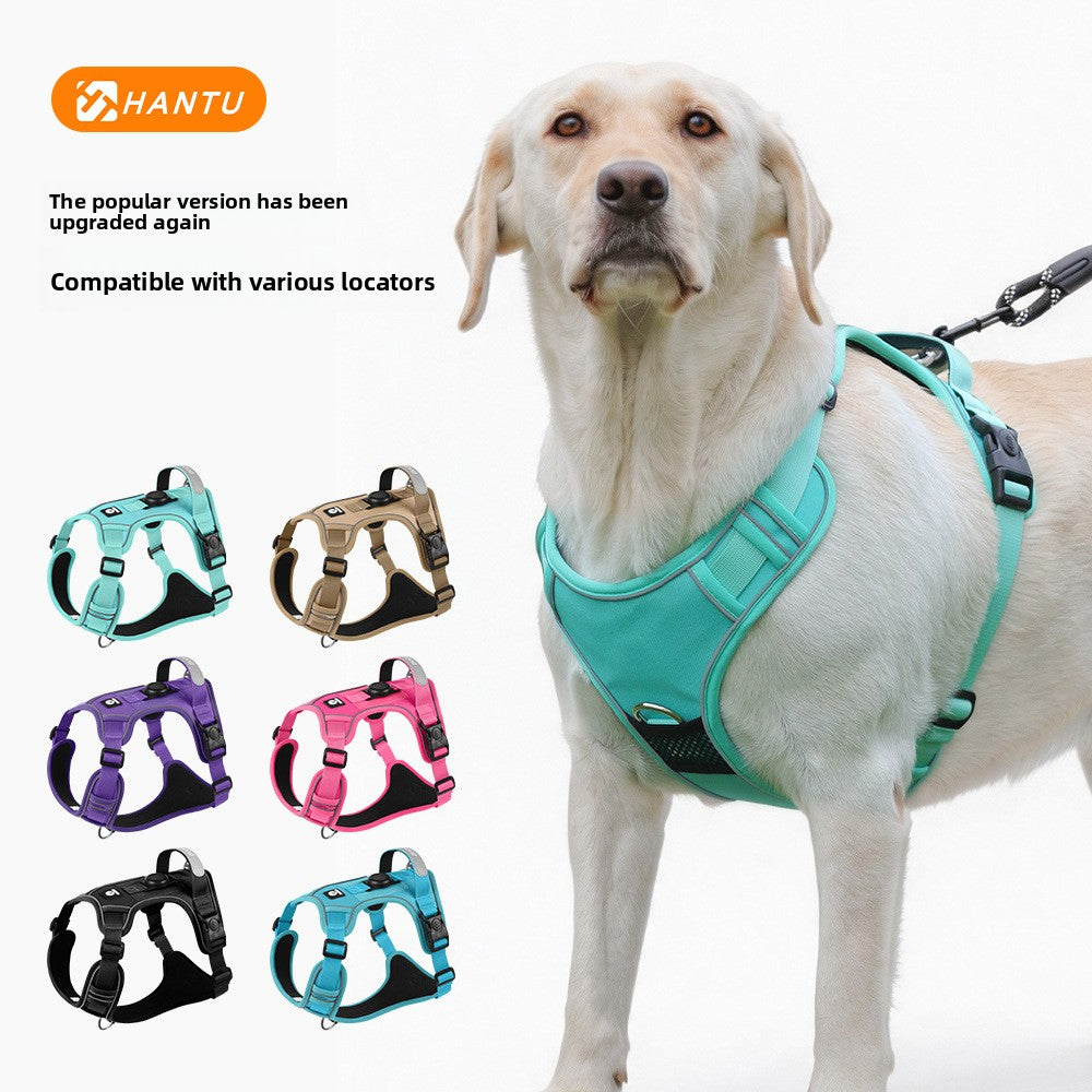 Vibrant Colorful Dog Harness