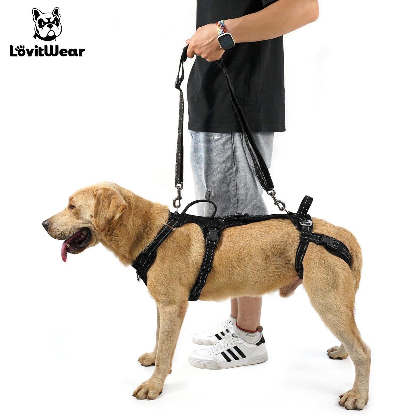 Best Large Dog Harnesses