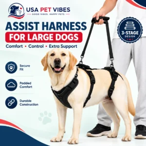 Best Dog Harness for Large Dogs with Handle