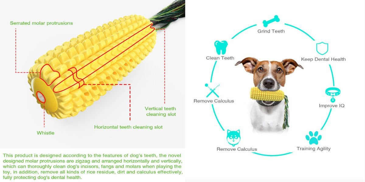 Chew Dog Toy