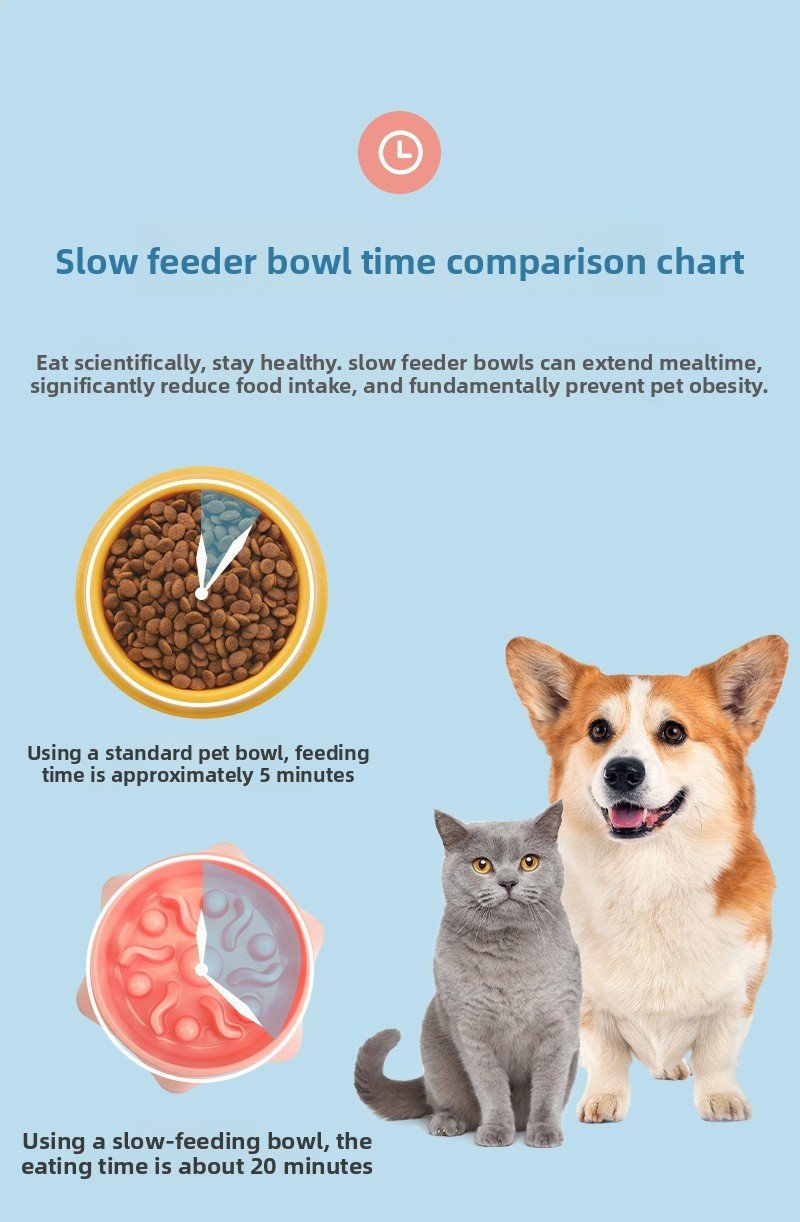 Easy Clean Slow Feeder Dog Bowl