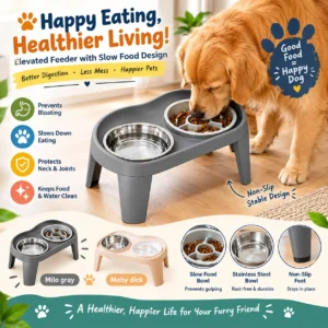 Large Slow Feeder Dog Bowl for Wet & Raw Food