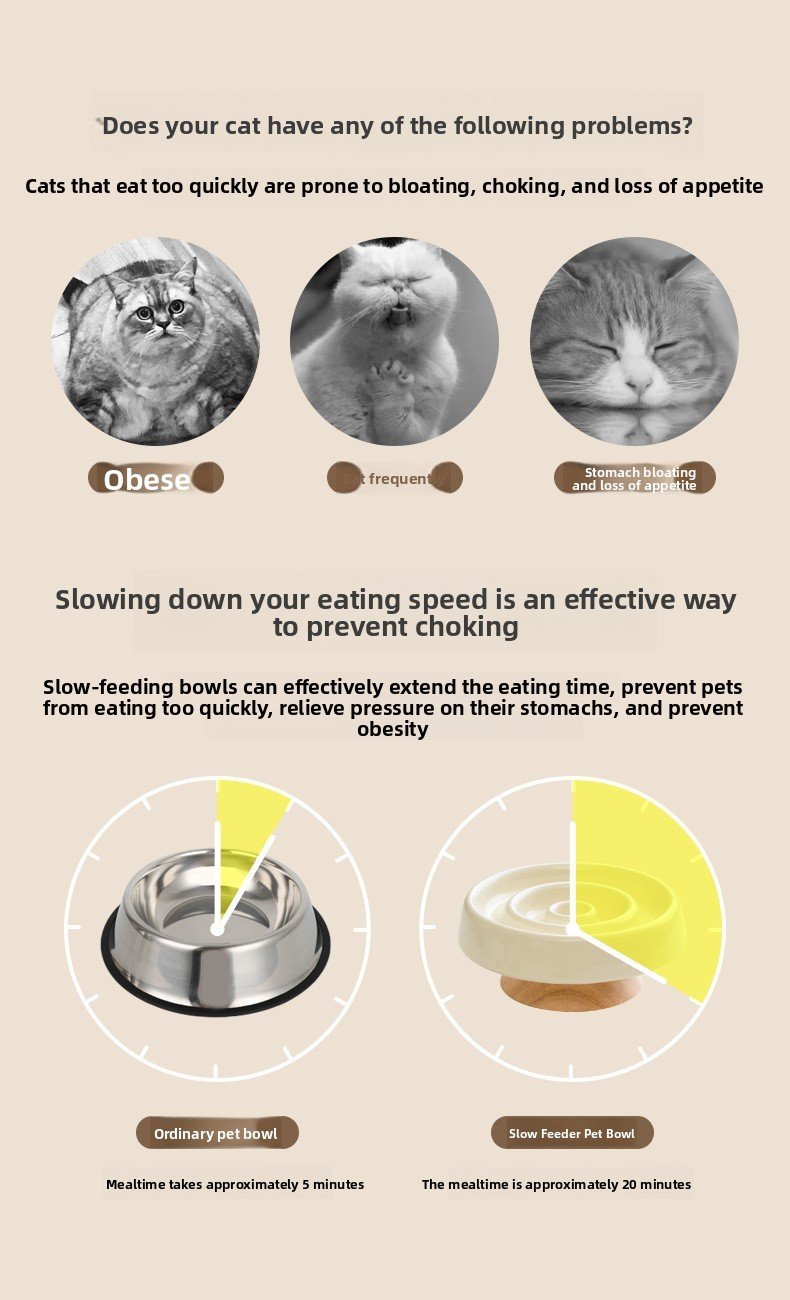 Slow Feeder Cat Bowl