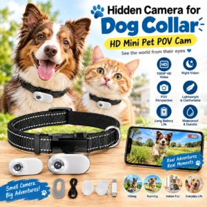 Hidden Camera for Dog Collar